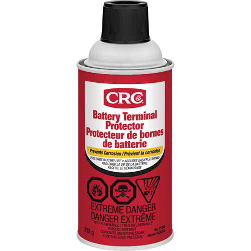Battery Terminal Protector, Aerosol Can Auto-Cam