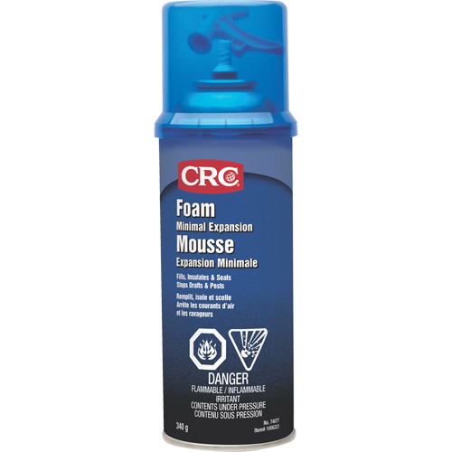 Minimal Expansion Foam Sealant, 12 oz., Aerosol Can Auto-Cam