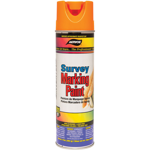 Peinture de marquage &agrave; base de solvant, 17 oz, Canette a&eacute;rosol Auto-Cam