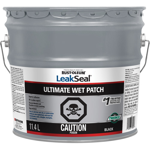 LeakSeal&reg; Ultimate Wet Roof Patch Auto-Cam
