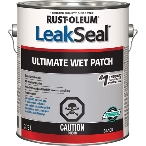 LeakSeal&reg; Ultimate Wet Roof Patch Auto-Cam