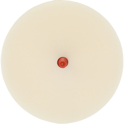 Disque pour enlever les bandes et les adh&eacute;sifs pour moulures Scotch-Brite, 4" dia. Auto-Cam