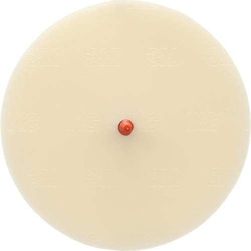 Disque Scotch-Brite 7502 pour retrait de colle et de bandes de moulage, 6" dia. Auto-Cam