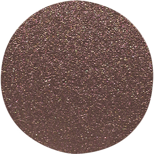 Disque de ponçage pour le bois, 12" dia., Grain 100 Auto-Cam