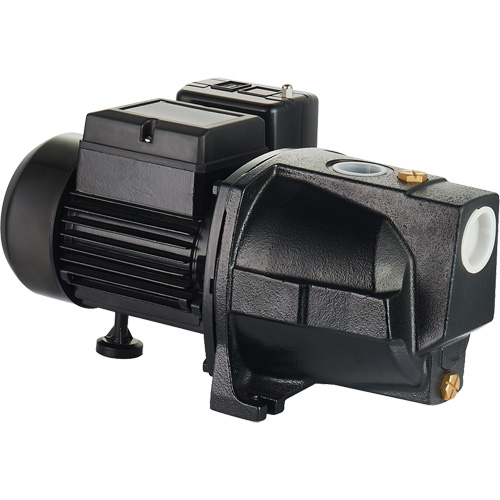 Pompe &agrave; jet en fonte &agrave; double tension pour puit peu profond, 115 V/230 V, 1100 gal./h, 1 CV Auto-Cam