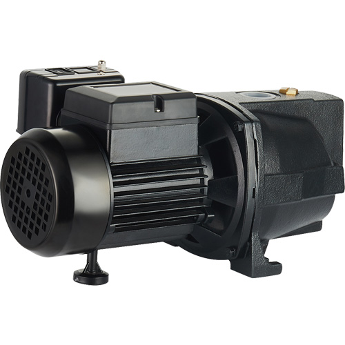 Pompe &agrave; jet en fonte &agrave; double tension pour puit peu profond, 115 V/230 V, 1100 gal./h, 1 CV Auto-Cam