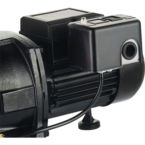 Pompe &agrave; jet en fonte &agrave; double tension pour puit peu profond, 115 V/230 V, 1100 gal./h, 1 CV Auto-Cam