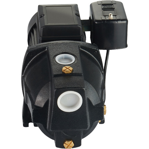 Pompe &agrave; jet en fonte &agrave; double tension pour puit peu profond, 115 V/230 V, 1100 gal./h, 1 CV Auto-Cam