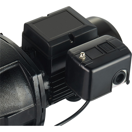 Pompe &agrave; jet en fonte &agrave; double tension pour puit peu profond, 115 V/230 V, 1100 gal./h, 1 CV Auto-Cam