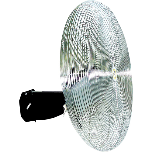 Oscillating Wall fan, Industrial, 3 Speed, 30" Diameter Auto-Cam