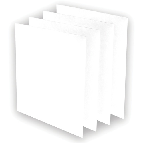 AeraMax&reg; Pro AM3 or AM4 Pre-Filters, 13.75" W x 0.13" D x 14.38" H Auto-Cam