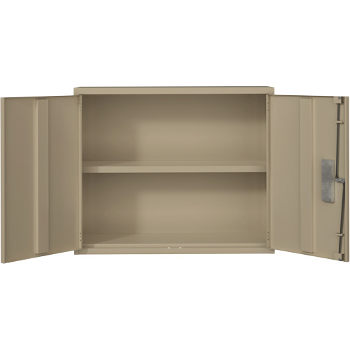 Wall Mounted Cabinet, Steel, 2 Shelves, 30" H x 36" W x 12" D, Beige Auto-Cam