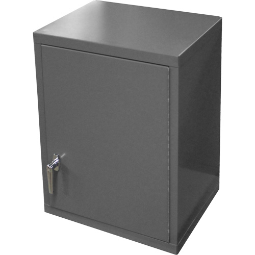 Wall-Mounted Cabinet, 27" H x 13-11/16" W x 18" D, 2 Shelves, Steel, Grey Auto-Cam
