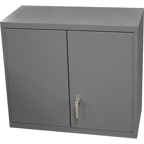 Wall-Mounted Cabinet, 27" H x 13-11/16" W x 35-7/8" D, 2 Shelves, Steel, Grey Auto-Cam