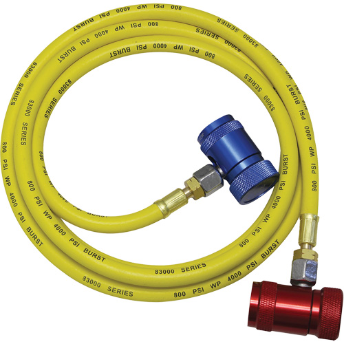 R1234yf A/C System Flush Hose Assembly Auto-Cam