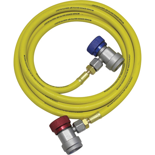 R134a A/C System Flush Hose Assembly Auto-Cam