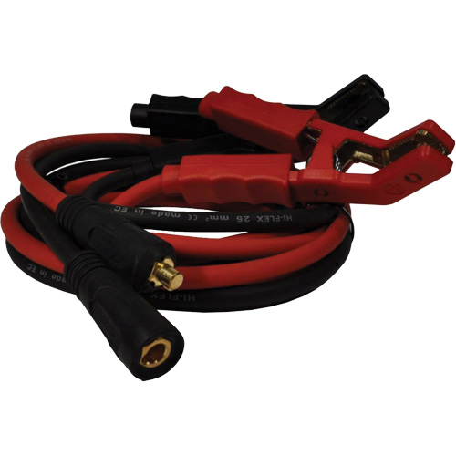 100 A High-Power Smart Charger with Inverter Technology Auto-Cam