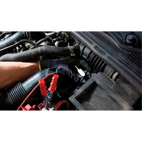 Pompette de purge de frein Brake-Pro &agrave; structure haute avec adaptateurs Auto-Cam