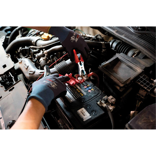 Pompette de purge de frein Brake-Pro &agrave; structure haute avec adaptateurs Auto-Cam