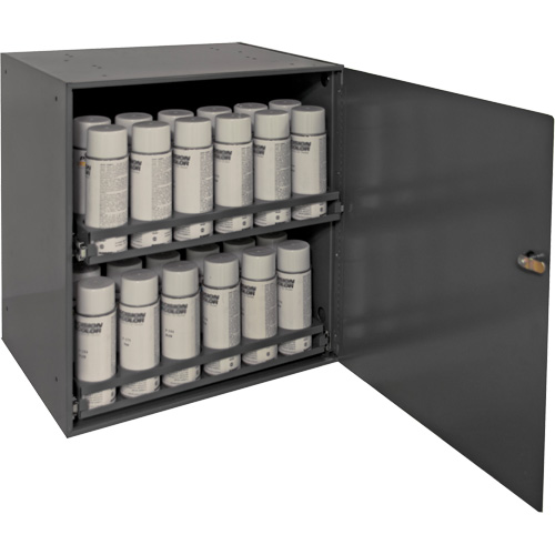 Armoire de rangement pour contenants a&eacute;rosol, Acier, 21-7/8" h x 15-15/16" la x 20-5/16" P, Gris Auto-Cam