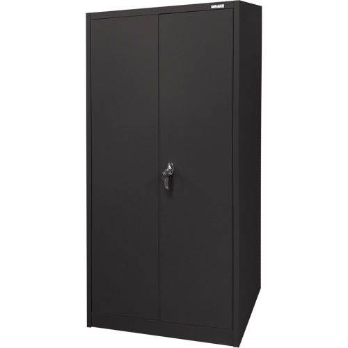 Storage Cabinet, Steel, 4 Shelves, 66" H x 30" W x 15" D, Black Auto-Cam