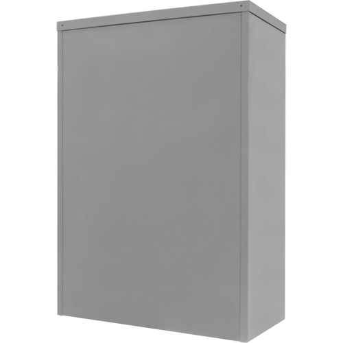Counter-High Storage Cabinet, Steel, 2 Shelves, 42" H x 30" W x 15" D, Grey Auto-Cam