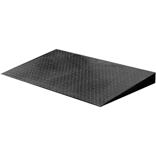 VN Series Economical Floor Scales - Ramp Auto-Cam