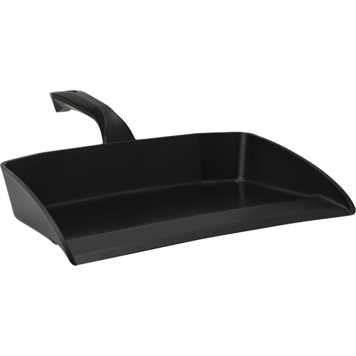 Dust Pan Auto-Cam