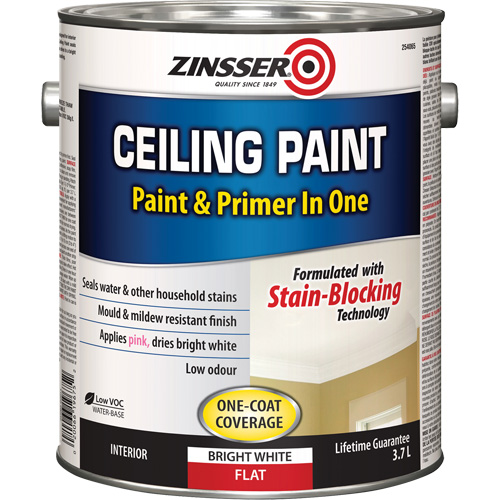 Peinture et appr&ecirc;t pour plafond en un seul produit, Blanc, Tr&egrave;s mat, 3,78 L, Gallon Auto-Cam