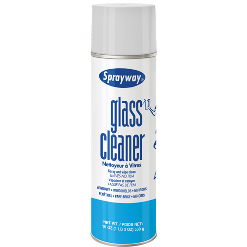Glass Cleaner, 20 oz., Aerosol Can Auto-Cam