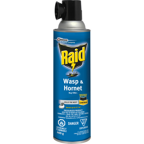 Raid&reg; Wasp & Hornet Bug Killer, 400 g, Solvent Base Auto-Cam