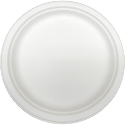 Molded Fiber Disposable Plates Auto-Cam
