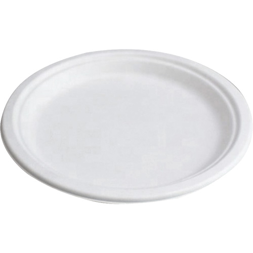 Compostable Plates Auto-Cam