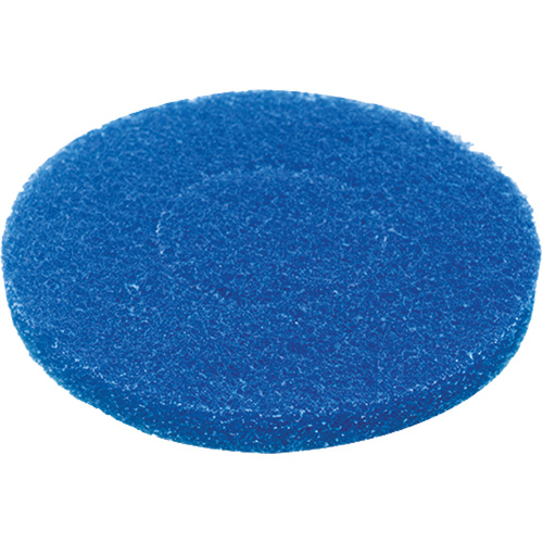 Floor Pad, Cleaning, Blue Auto-Cam