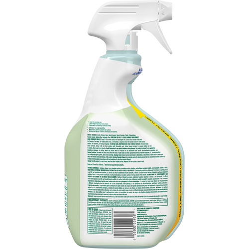 Nettoyant d&eacute;sinfectant CloroxPro Clorox EcoClean, 946 ml, Bouteille &agrave; g&acirc;chette Auto-Cam