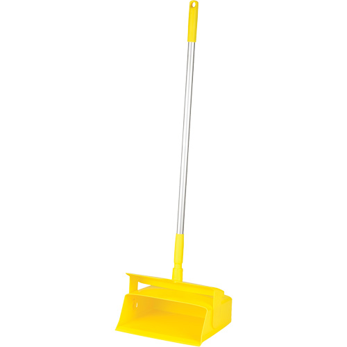 Compact Lobby Dustpan Auto-Cam