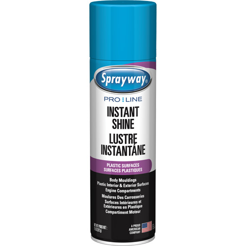 Brillant instantan&eacute; Pro Line pour surfaces en plastique, 11 oz, Canette a&eacute;rosol Auto-Cam
