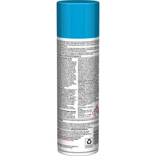 Brillant instantan&eacute; Pro Line pour surfaces en plastique, 11 oz, Canette a&eacute;rosol Auto-Cam