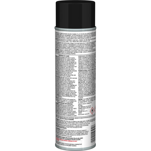 Nettoyant p&eacute;n&eacute;trant pour bobines Pro Line &agrave; action moussante diff&eacute;r&eacute;e, 19 oz., Canette a&eacute;rosol Auto-Cam