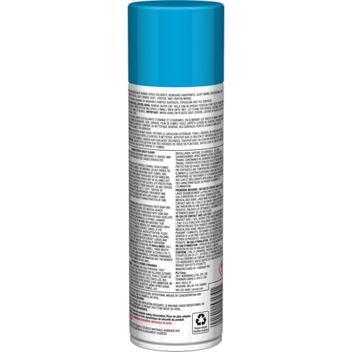 Pro Line Crazy Clean&reg; All Purpose Cleaner, 19 oz., Aerosol Can Auto-Cam