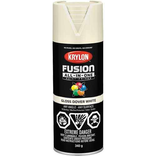 Fusion All-In-One Spray Paint, Dover White, Gloss, 12 oz., Aerosol Can Auto-Cam
