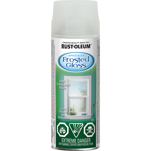 Specialty Spray Paint, Aerosol Can, Frosted Glass Auto-Cam