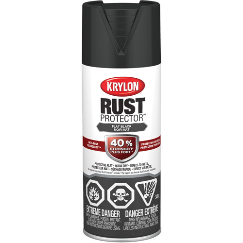 Peinture &agrave; &eacute;mail Rust Protector, Noir, Tr&egrave;s mat, 12 oz, Canette a&eacute;rosol Auto-Cam