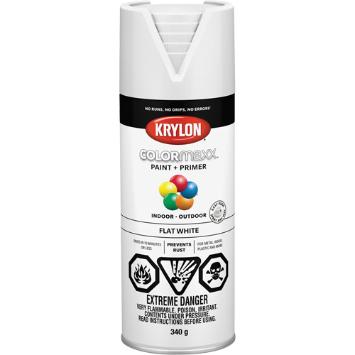 Appr&ecirc;t + peinture COLORmaxx, Blanc, Tr&egrave;s mat, 12 oz, Canette a&eacute;rosol Auto-Cam