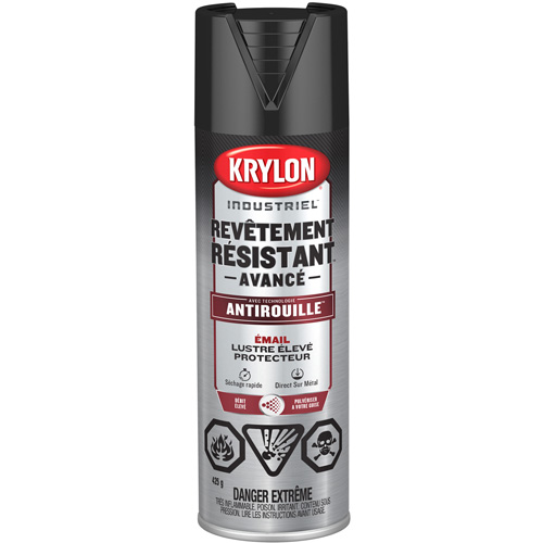 Tough Coat&reg; Advanced Paint with Rust Barrier Technology, Black, High-Gloss, 425 g, Aerosol Can Auto-Cam