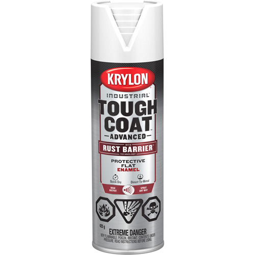 Tough Coat&reg; Advanced Paint with Rust Barrier Technology, White, Flat, 425 g, Aerosol Can Auto-Cam