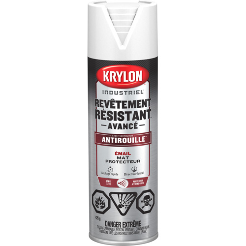 Tough Coat&reg; Advanced Paint with Rust Barrier Technology, White, Flat, 425 g, Aerosol Can Auto-Cam