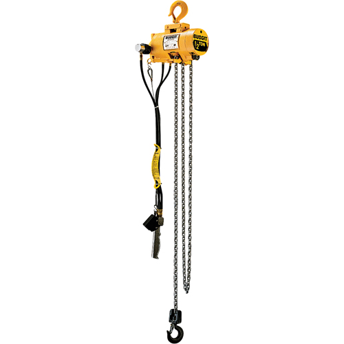 Budgit&reg; Air Chain Hoists Auto-Cam