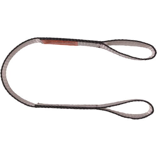 Polyester Web Sling, Double Ply, Double Eye, Type 3, 1" W x 4' L, 3100 lbs. Vertical Cap. Auto-Cam
