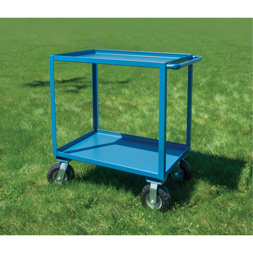 Outdoor Shelf Cart, 2 Tiers, 24" W x 39" H x 51" D, 1200 lbs. Capacity Auto-Cam
